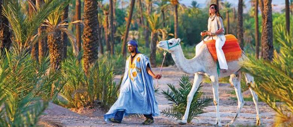 Paseo en camello por el palmeral