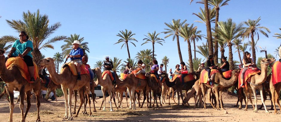 Paseo en camello por el palmeral