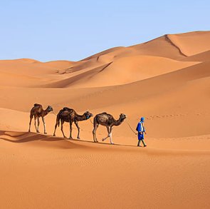 Excursión De 4 Días De Marrakech A Fez Via Merzouga