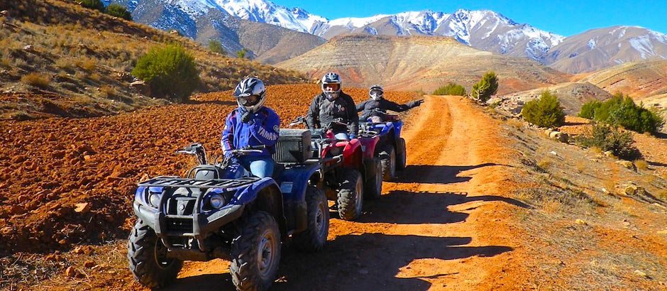 Tour en buggy por el palmeral