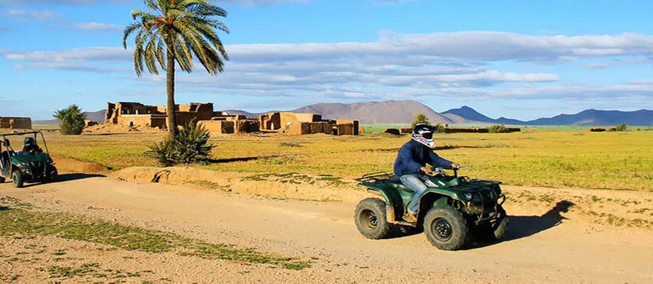 Tour en buggy por el palmeral